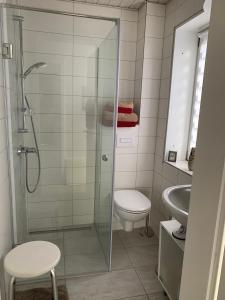 a bathroom with a shower and a toilet and a sink at Ferienwohnung Möwennest in Elmenhorst