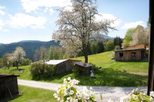 una casa en una colina con un árbol y un camino en Landhof Steinhütte, en Bayerisch Eisenstein