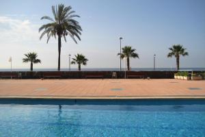 einen Pool mit Palmen und dem Meer in der Unterkunft AT053 Els Pins I in Torredembarra