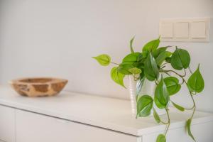 Fotografie z fotogalerie ubytování Vivienda liv El Puerto I 3-11 v destinaci Cacla D'or