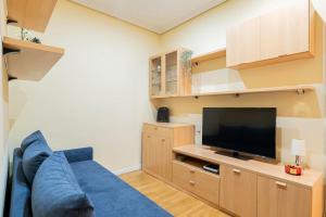 salon z niebieską kanapą i telewizorem z płaskim ekranem w obiekcie Tranquilo apartamento Pacífico/Ciudad de Barcelona w Madrycie
