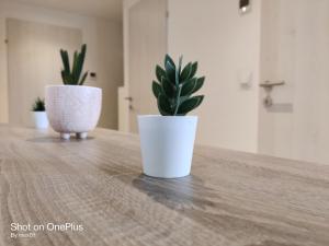 Fotografie z fotogalerie ubytování Ferienwohnung Grete, an der Weinstraße v destinaci Ehrenhausen