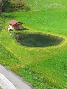 Příroda nedaleko apartmánu