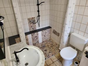 La salle de bains est pourvue de toilettes, d'un lavabo et d'une douche. dans l'établissement Haus Adelheid, à Weil am Rhein