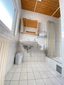uma casa de banho com um lavatório, um chuveiro e um WC. em Frühstückspension Ochnerbauer em Kindberg