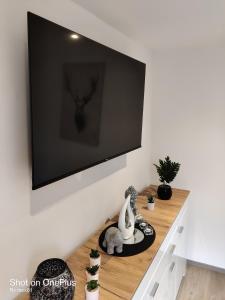 TV a/nebo společenská místnost v ubytování Ferienwohnung Grete, an der Weinstraße