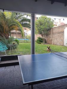 una mesa de ping pong con un perro en un patio en El Bicho Negro Hostel en Concordia