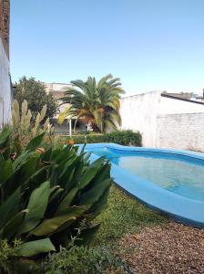 A piscina localizada em El Bicho Negro Hostel ou nos arredores