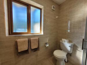 een badkamer met een toilet, een raam en handdoeken bij Aonach in Dingle