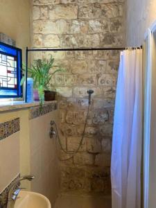 y baño con ducha y pared de piedra. en בית האבן העתיק מ-1885 en Rosh Pinna