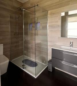 a bathroom with a shower and a toilet and a sink at Contemporary Townhouse Stunning lakeside location in Belturbet