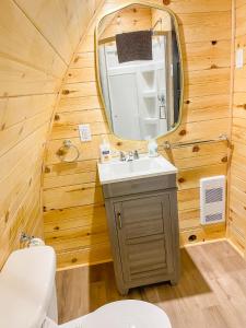 a bathroom with a sink and a mirror at Hillside Cottages in Bay Roberts