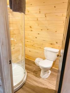 a bathroom with a toilet and a shower at Hillside Cottages in Bay Roberts