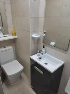 貝納爾馬德納的住宿－Iris，一间带卫生间、水槽和镜子的浴室