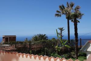 een uitzicht op de oceaan vanuit een huis met palmbomen bij Schönes Apartment mit Terrasse und Meerblick. in La Matanza de Acentejo