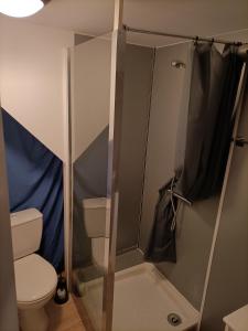 mała łazienka z toaletą i prysznicem w obiekcie La Dourbie w mieście Saint-Jean-du-Bruel