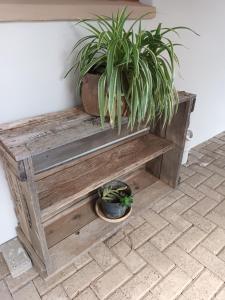 Fotografie z fotogalerie ubytování Featherhouse v destinaci Colesberg