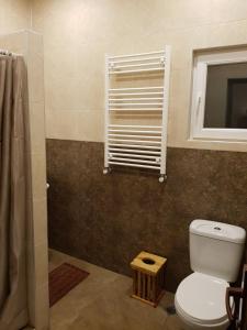 La salle de bains est pourvue de toilettes blanches et d'une fenêtre. dans l'établissement Tkhibuli geust house, à Tqibuli