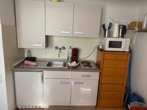 eine kleine Küche mit einer Spüle und einer Mikrowelle in der Unterkunft Appartement Leon in Düsseldorf