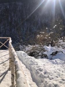 Fotografie z fotogalerie ubytování Golubović Apartman v destinaci Crni Vrh