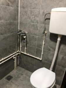 a bathroom with a toilet and a shower at Golubović Apartman in Crni Vrh