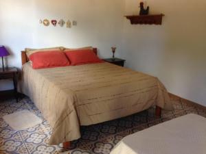 una camera da letto con un grande letto con cuscini rossi di Linda Fazenda Centenária a Santa Rita do Sapucaí