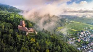 an aerial view of a castle in the middle of a forest at GASTHAUS Porzelt -Ferien im Weingut - Wohnung 2 in Klingenmünster