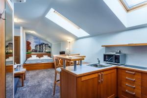Kuchyň nebo kuchyňský kout v ubytování Hotel Jelínkova vila + 37 fotografií