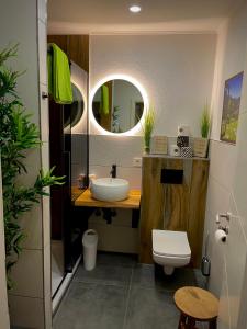 a bathroom with a sink and a toilet and a mirror at Apartment three Rivers2 in Passau