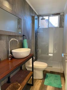 a bathroom with a sink and a toilet and a shower at Linda y cómoda casa individual in Llanquihue