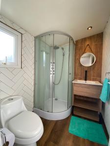 a bathroom with a shower and a toilet and a sink at Linda y cómoda casa individual in Llanquihue