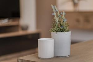Zdjęcie z galerii obiektu Haus Bambi w mieście Achenkirch