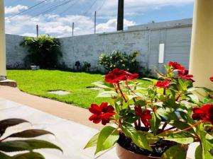 Gallery image of Casa em Barreirinhas 01 in Barreirinhas