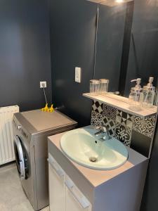 a bathroom with a sink and a washing machine at Le Chic Vintage in Contrexéville +7 photos