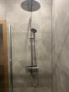 a shower with a stool in a shower stall at Les gîtes de la Serva in Belmont