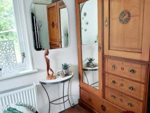 瓦門赫伊曾的住宿－Tiny house Schoorl Bergen NH，一间带木制橱柜和镜子的浴室
