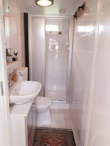 een badkamer met een douche, een toilet en een wastafel bij Tiny house Schoorl Bergen NH in Warmenhuizen