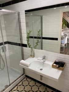 a bathroom with a sink and a shower at Il Colle b&b in Tivoli