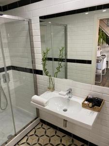un bagno con lavandino e doccia di Il Colle b&b a Tivoli