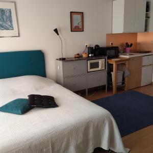 Kuchyň nebo kuchyňský kout v ubytování STUDIO au sud de Lyon à Oullins