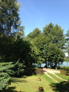 un parc avec des arbres et de l'herbe et une clôture dans l'établissement Agroturystyka Lisa Młyn, à Najmowo