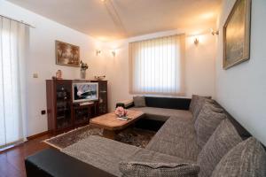 - un salon avec un canapé et une télévision dans l'établissement Kuca za odmor Jozic, à Golubić