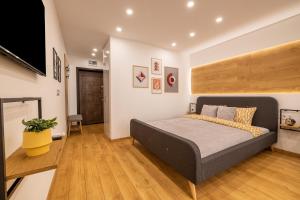 a bedroom with a bed and a flat screen tv at Luxury Studio Living: High-End Amenities and Great Location in Sofia