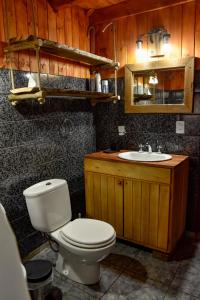 サン・マルティン・デ・ロス・アンデスにあるCabaña El Maquiのバスルーム(トイレ、洗面台付)