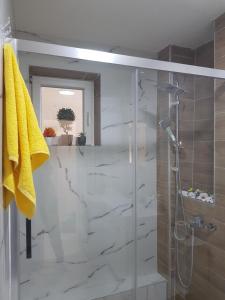 een badkamer met een douche en een glazen deur bij City Diamond Apartment in Skopje