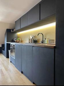 kuchnia z czarnymi szafkami i zlewem w obiekcie Charmant studio - St Germain w Paryżu