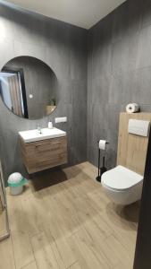 a bathroom with a sink and a toilet and a mirror at Willa Magdalena in Sromowce Niżne