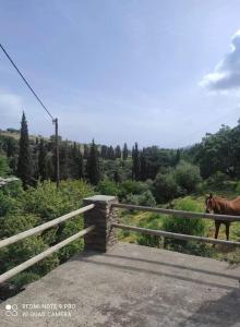 un caballo parado en un puente con una valla en ELECTRAS LITTLE COTTAGE, en Ándros