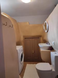安德羅斯的住宿－ELECTRAS LITTLE COTTAGE，一间带卫生间和水槽的小浴室