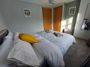 1 dormitorio con 2 camas y almohadas en The Cove, en Aughnacloy